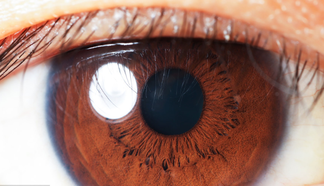 白內(nèi)障手術(shù)