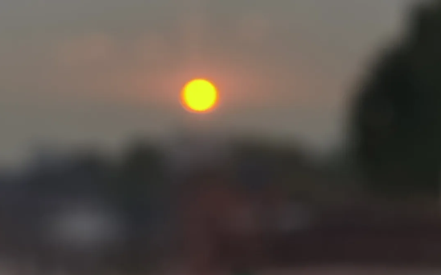 中漿